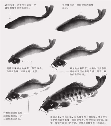 魚 畫|零基礎國畫教程：分步驟講解三大魚類畫法，簡單易。